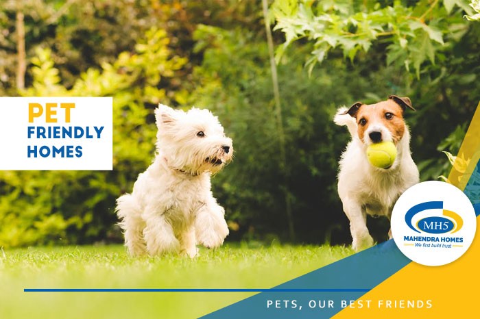 Pets, Our Best Friends!