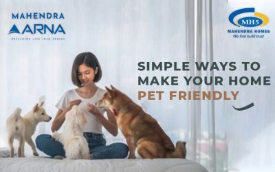 Simple Ways To Make Your Apartment Pet Friendly