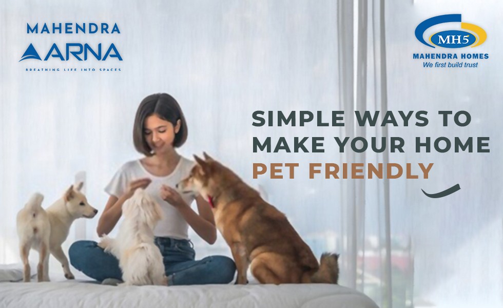 Simple Ways To Make Your Apartment Pet Friendly